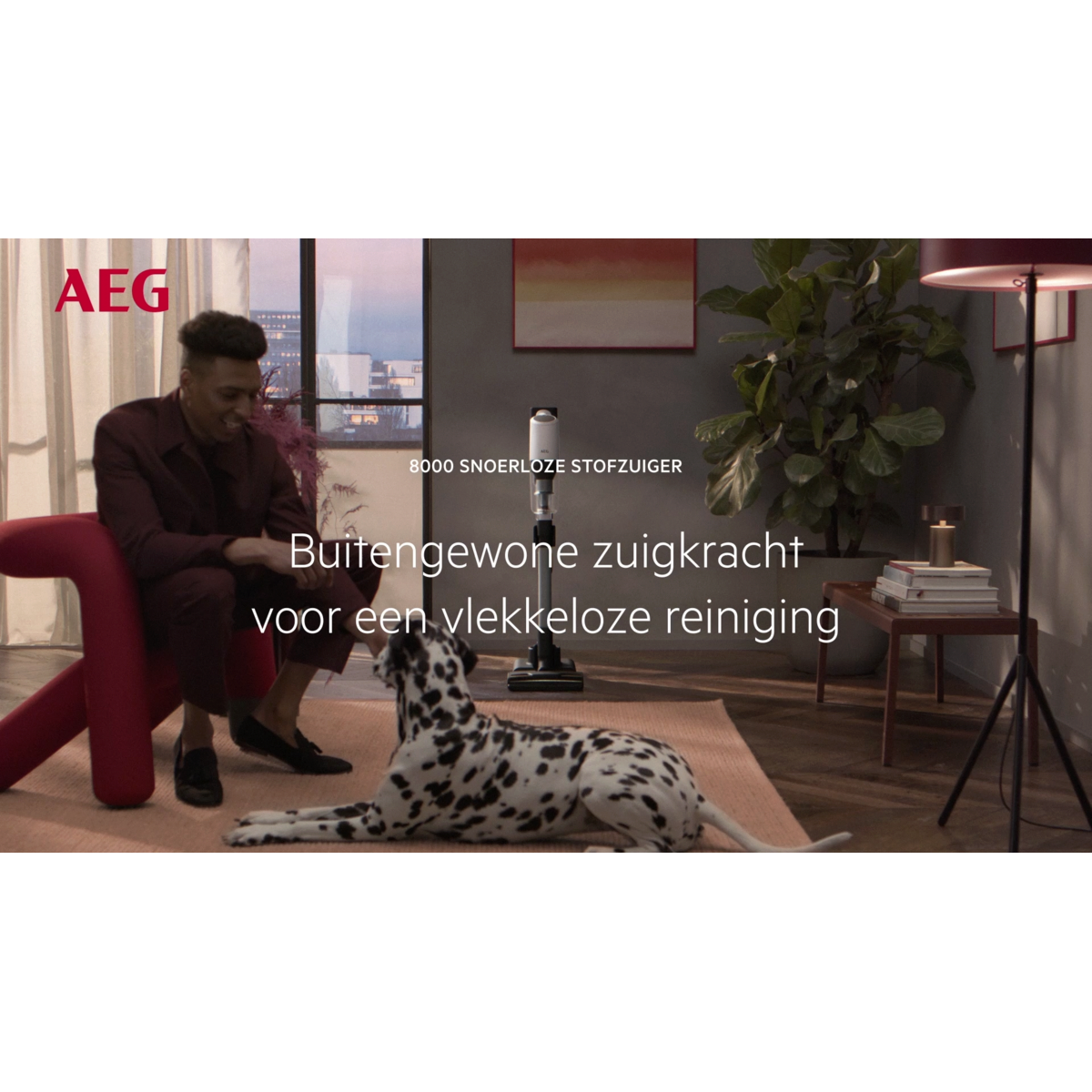 AEG - Steelstofzuiger - AP82A25SHX