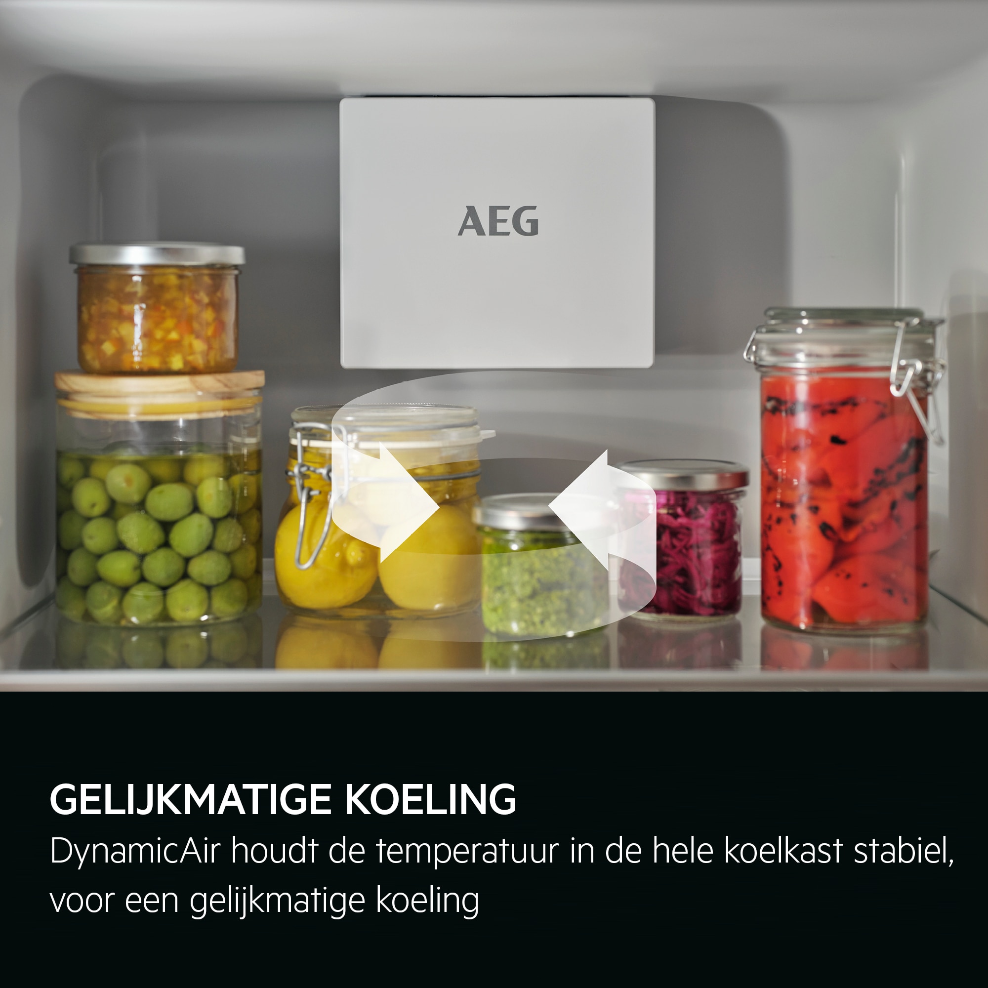 AEG - Vrijstaande koelkast - ORK6D391EX