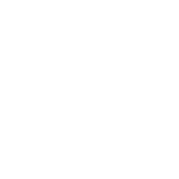 SteamCrisp-functie