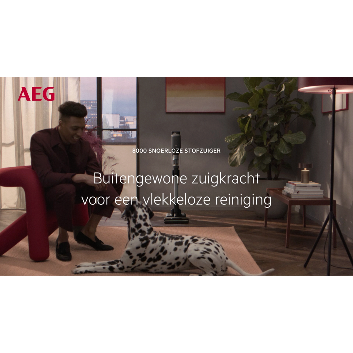 AEG - Steelstofzuiger - AP82AB25DG