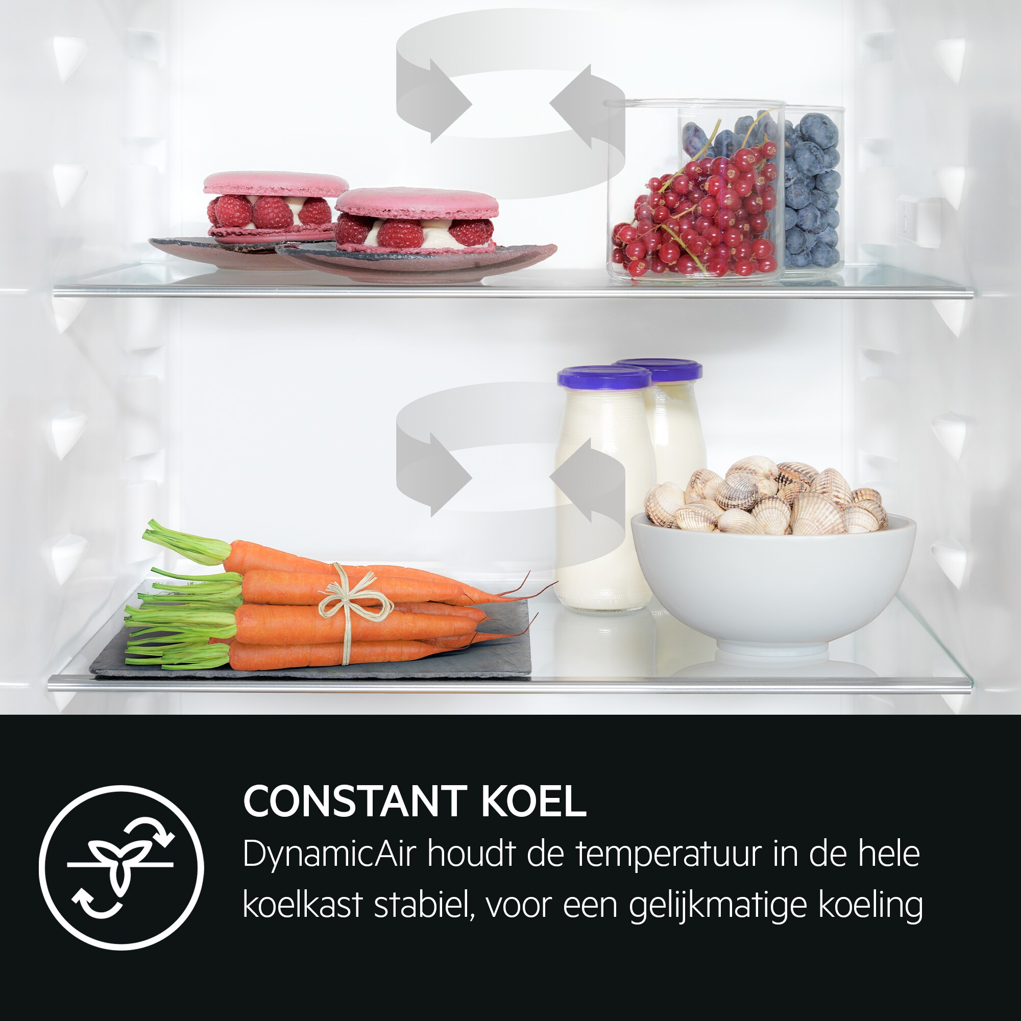 AEG - Inbouw koel-vriescombinatie - OSC5D181ES