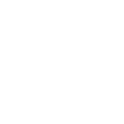 SteamCrisp-functie