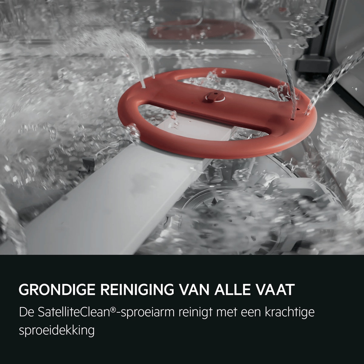 GRONDIGE REINIGING VAN ALLE VAAT De SatelliteClean®-sproeiarm reinigt met een krachtige sproeidekking