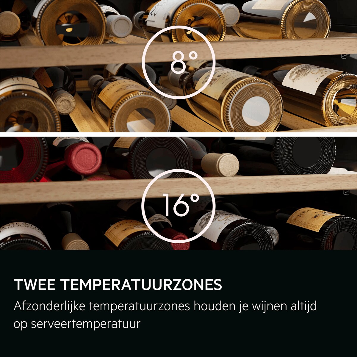TWEE TEMPERATUURZONES Afzonderlijke temperatuurzones houden je wijnen altijd op serveertemperatuur     8°C 16°C