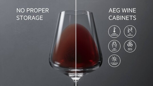 Bescherm je wijnen met de Cellar Pro 5 Fundamentals