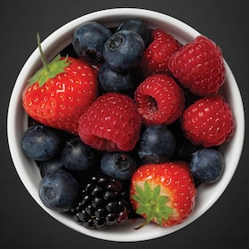 De ProFresh-koel-vriescombinatie