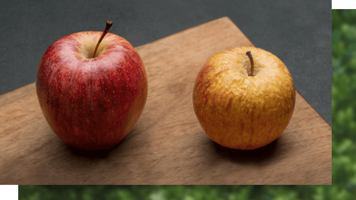 Apple stored in humid enviroment