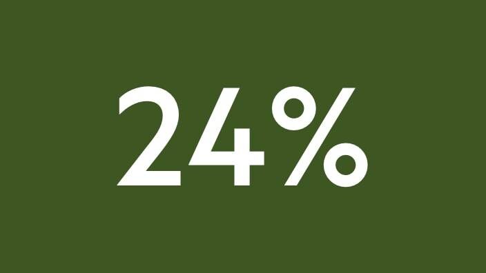 24%