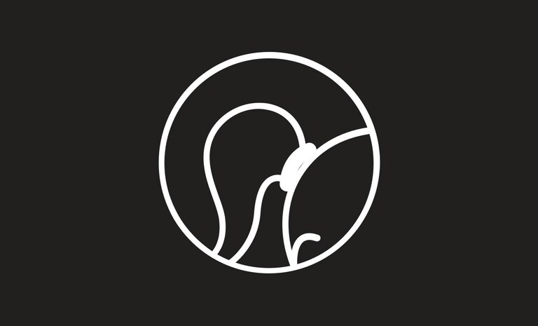 afbeelding van kapsel